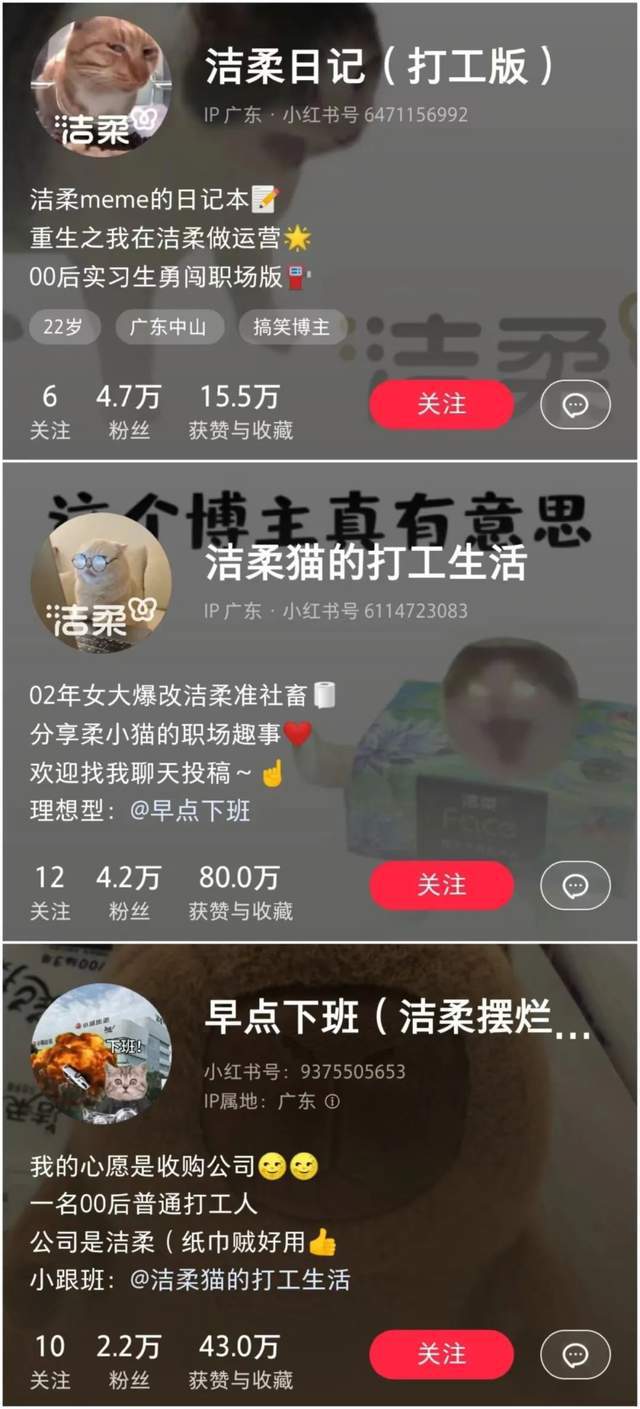 小红书分享，最新系统下载攻略，轻松获取2013最新系统下载链接