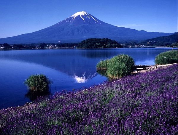 富士山之旅，探寻内心平静的最新篇章