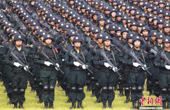 武警部队最新动态更新，揭秘最新消息