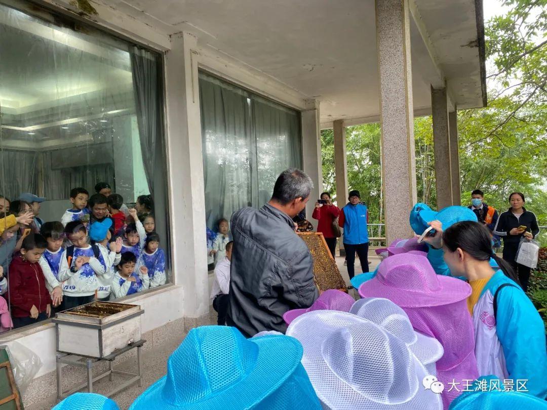 南宁市大王滩最新动态，发展与保护的双向思考探索