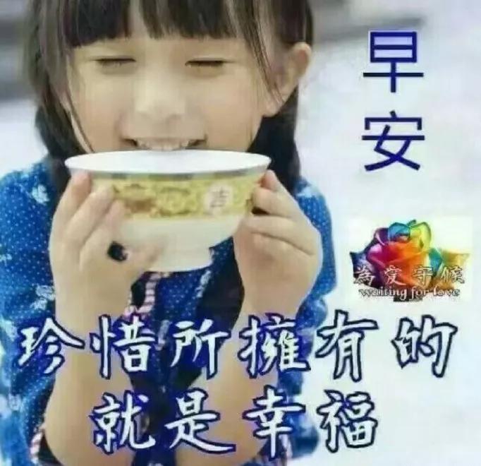 友情与陪伴的温馨日常，探索最新5C5C5C网站