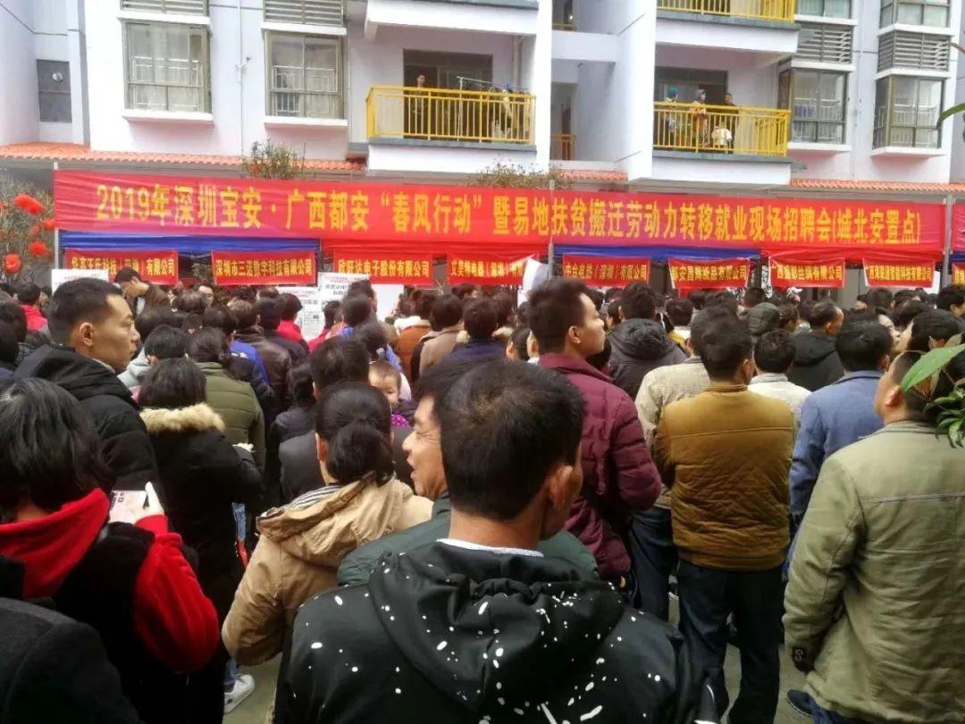 都安最新招聘，求职全步骤指南