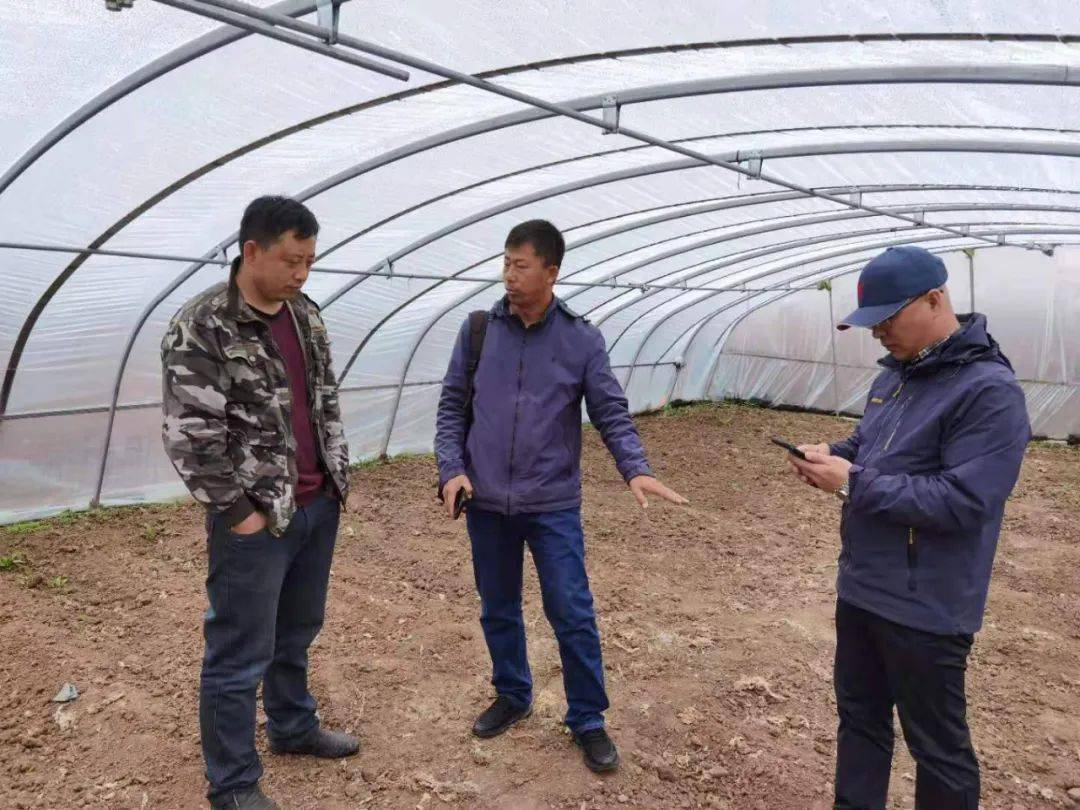 奇虎最新动态，学习变革，自信塑造未来