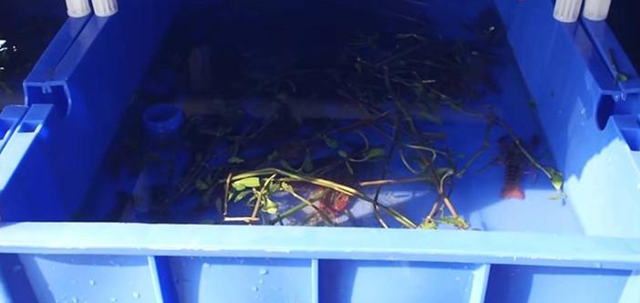 养殖最新政策下的高科技产品介绍与趋势分析