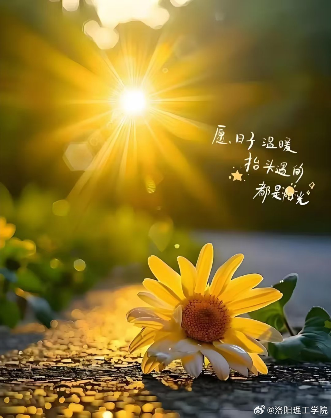 五月色，知识的光芒照亮前行之路
