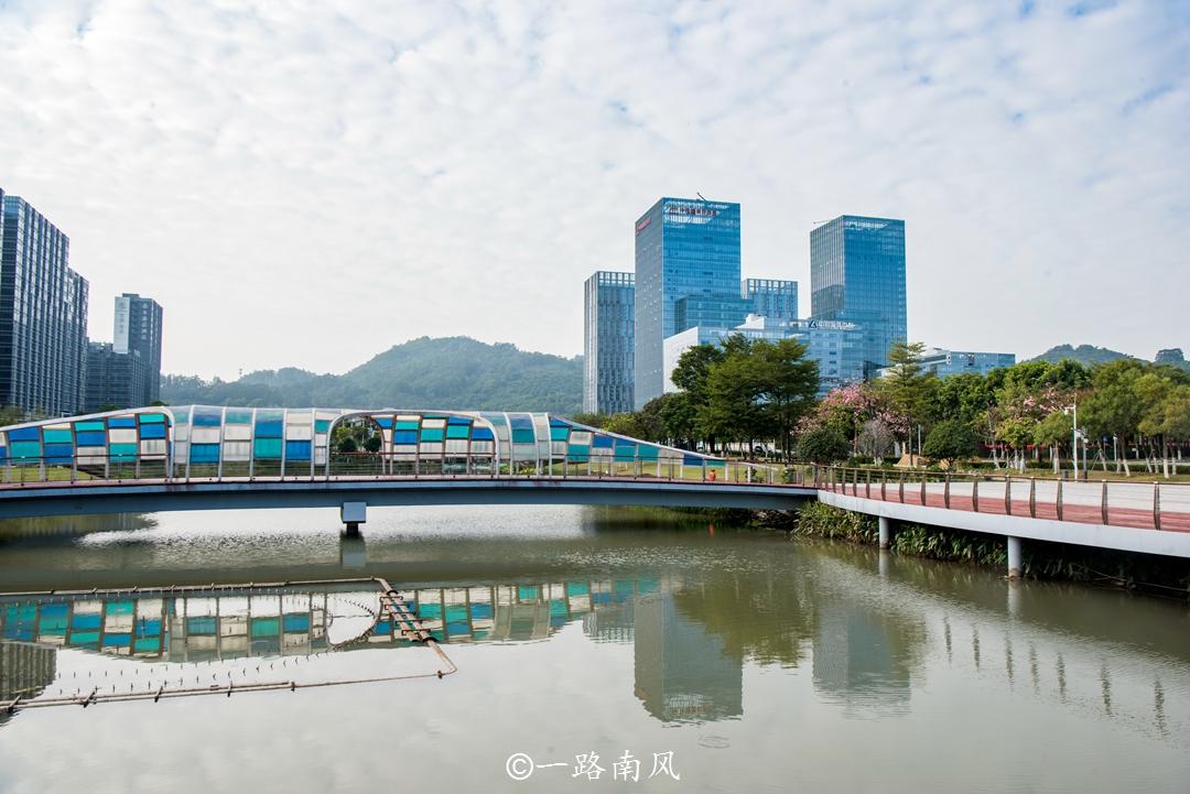 广州南沙新闻最新动态速递📢