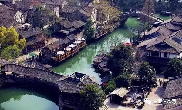 浙江仙通最新动态，小巷深处的独特风味揭秘