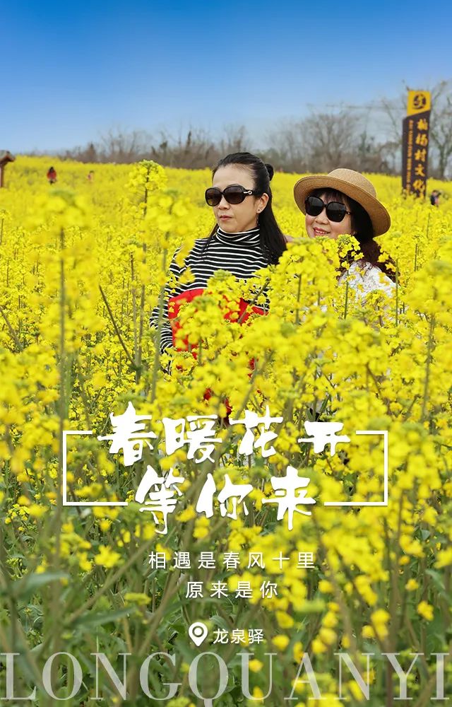春暖花开吧有你最新地址分享，鲜花盛开的浪漫之地