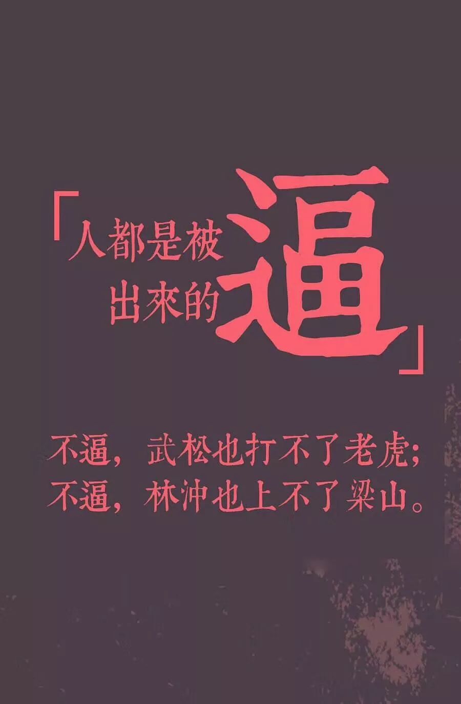 最新领路人，自信前行，成就梦想之路