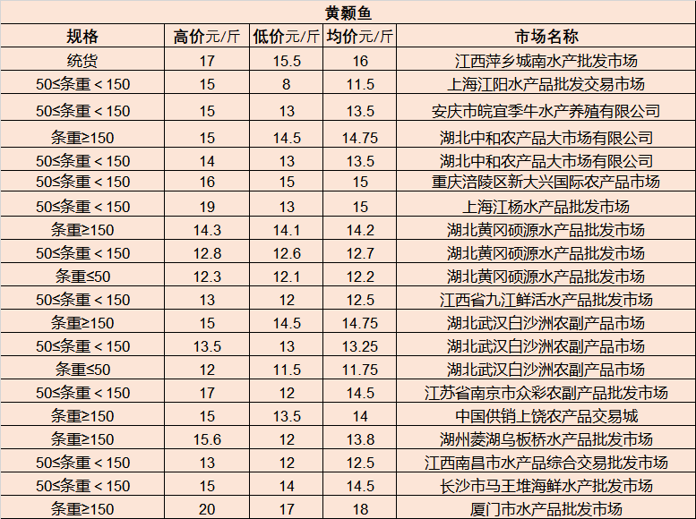 雷艾最新观点碰撞与探讨大会