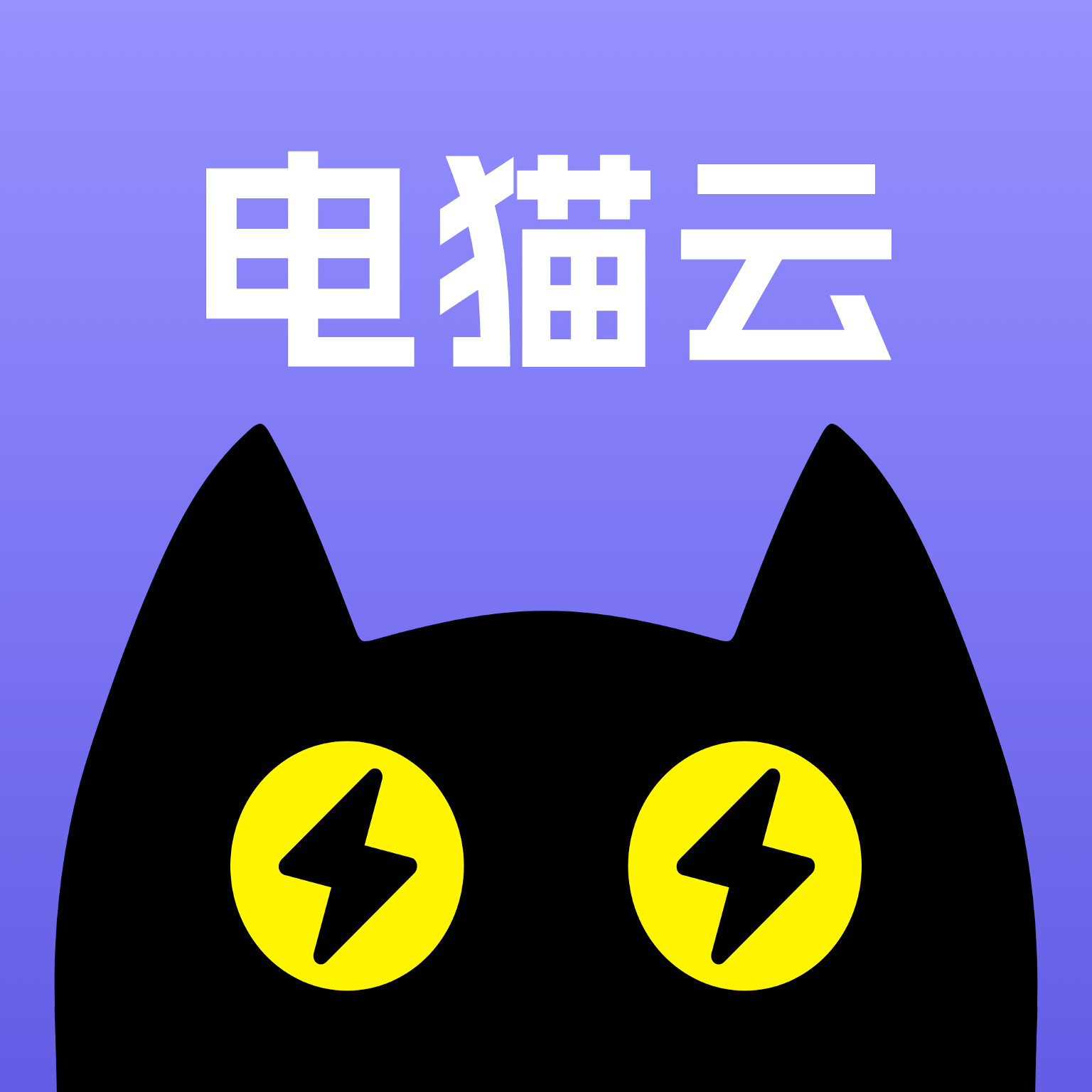 揭秘最新电猫，热门选择等你来体验！✨