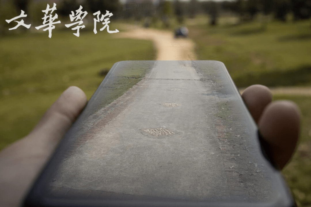 文华最新价，市场动态焦点的探索