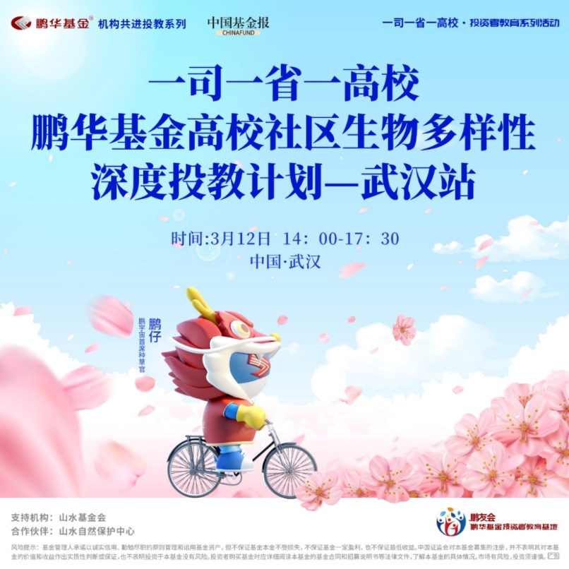 最新校园小说，青春诗篇与时代印记