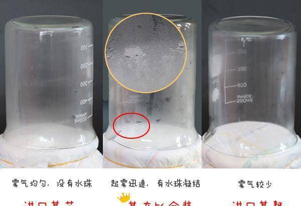 烧杯最新版，自然美景的轻松探索之旅