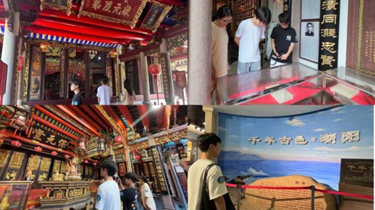 陈展鹏最新动态揭秘，影视界璀璨之星的崛起之路