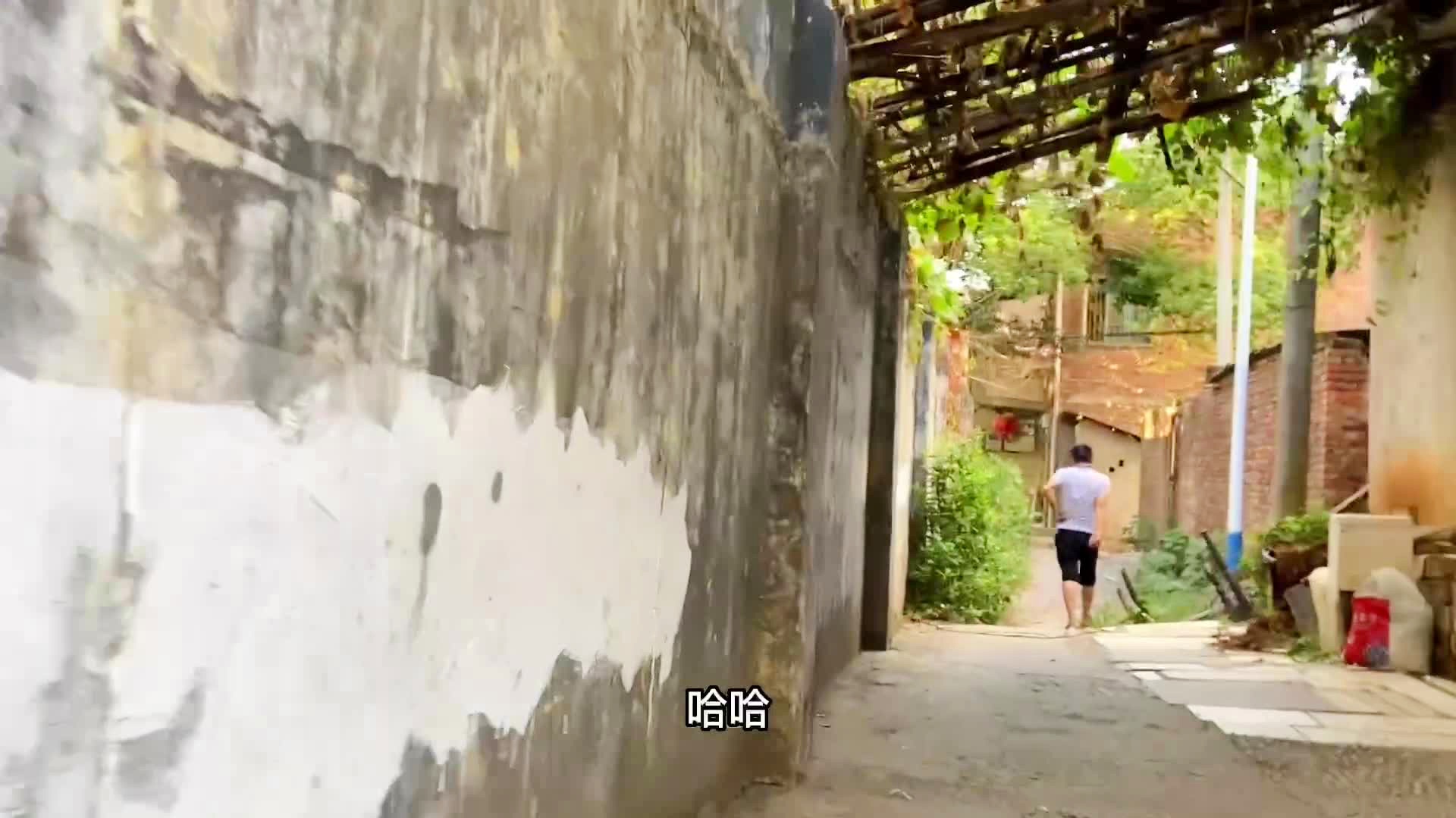 探秘小巷中的宝藏，揭秘最新下款口子独特魅力与秘密！