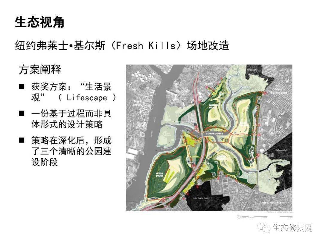 佐仓绊最新动态，多元视角下的观察与解读揭秘