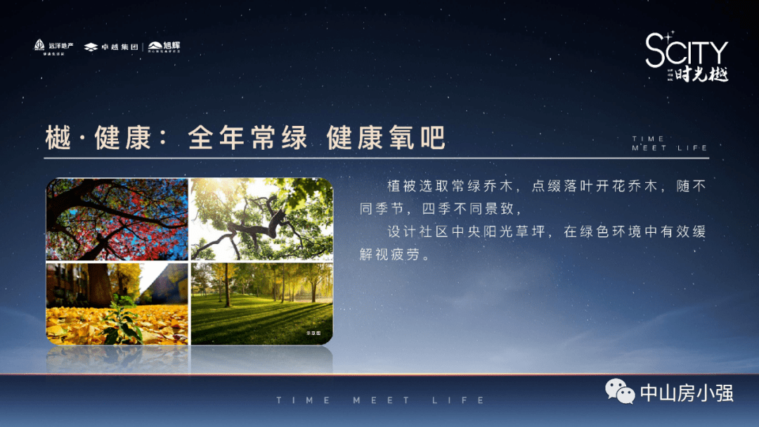 SS最新版全新特性与优势解析