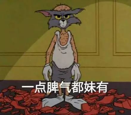 俺来俺去俺啦最新版本，高科技产品的创新巅峰