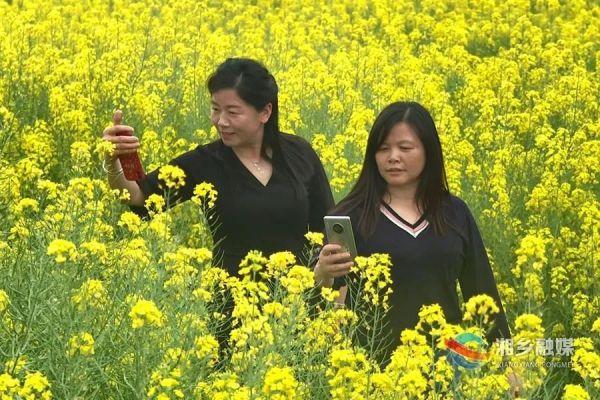 最新农机大全，与自然美景的邂逅之旅