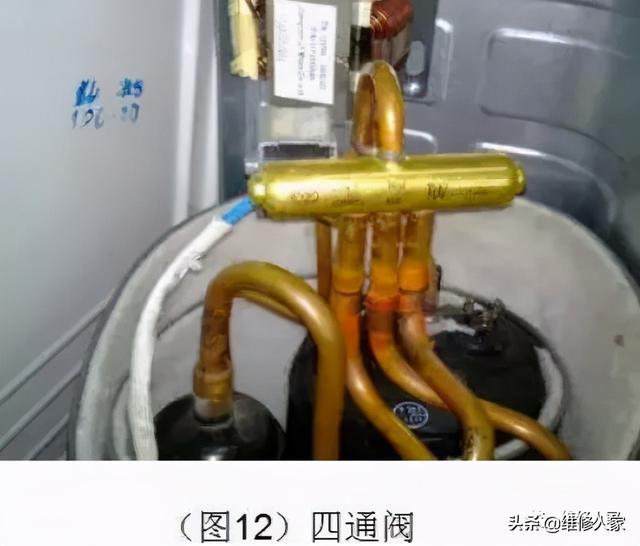 亲吻指尖最新小说阅读与学习指南