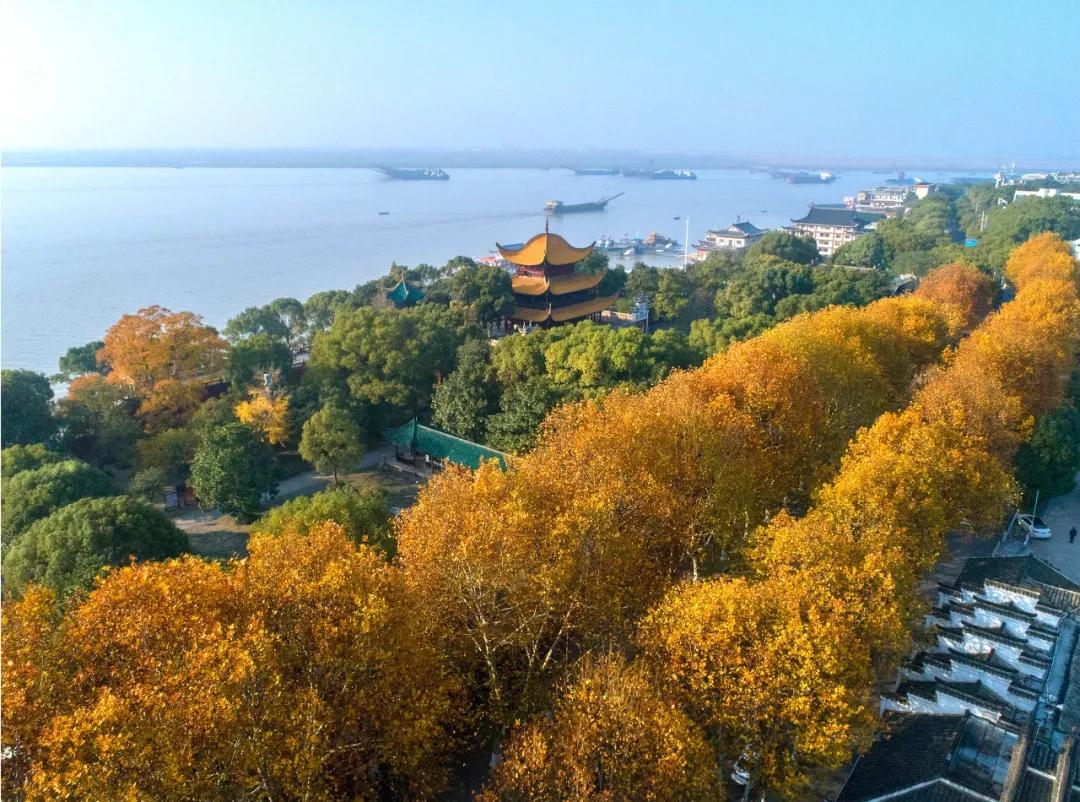 自然美景的探索之旅，千涯最新章节，寻找内心的平和与喜悦