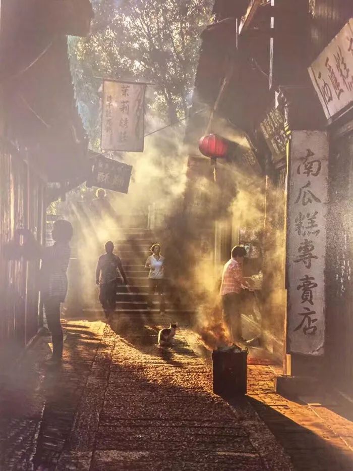 特朗普维特的最新动态，多维度视角下的深度解析
