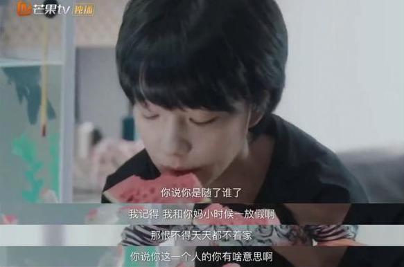 最新结婚证内容深度解析