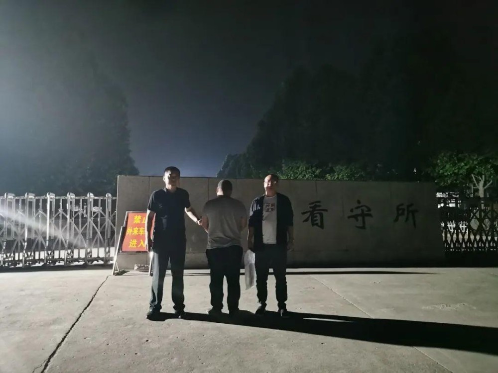 青岛双星企业转型与科技创新的辉煌篇章揭秘事件最新报道