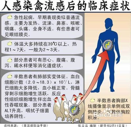 吉林禽流感最新动态，观点阐述与分析