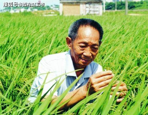 时代之声的回响，最新献词汇总