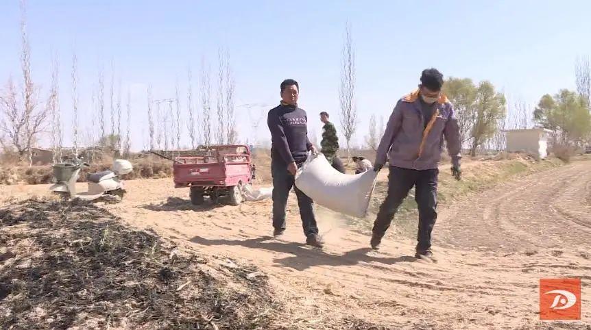 苜蓿最新行情分析概览