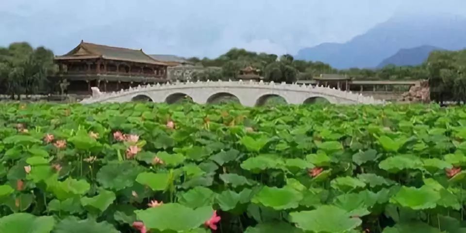 益阳最新肺炎动态，自然之旅带你远离忧虑，拥抱健康！