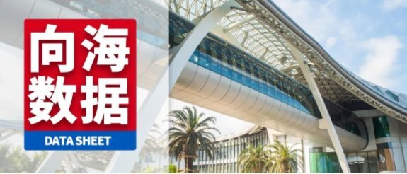 海南最新通告发布，最新消息汇总