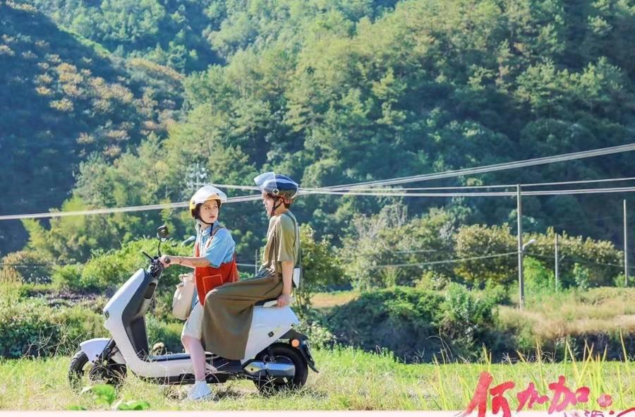 最新电影带你开启自然美景治愈之旅
