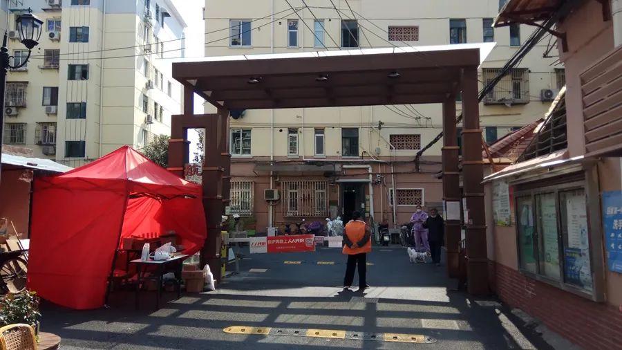 陇南疫情下的隐秘小巷魅力探索，特色小店的独特故事揭秘