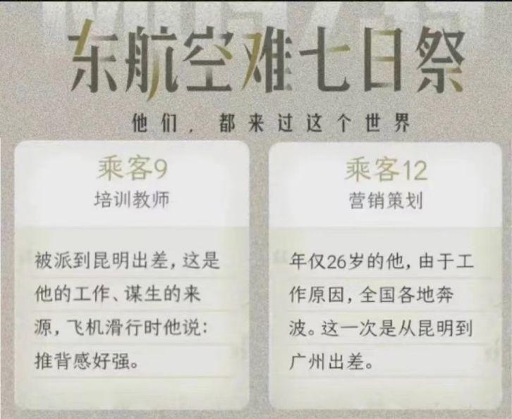 最新飞机失事原因探究及应对策略