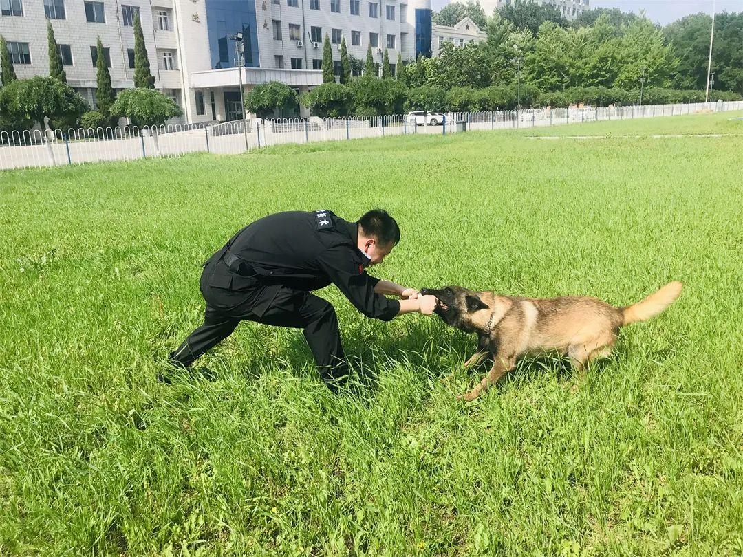 最新励志视频，技能提升与任务完成指南