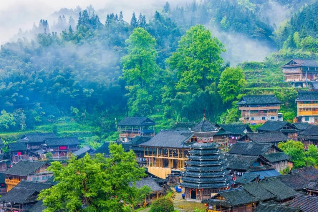 最新电影免费资源的探索之旅，背景、影响与地位揭秘
