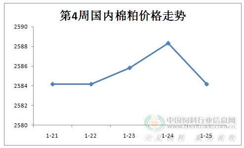 最新报价