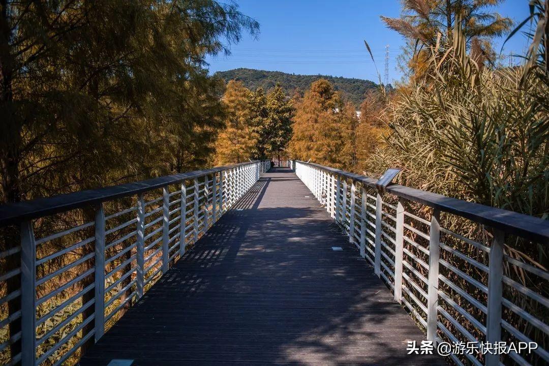 小红书分享，今日美国股市大观，你准备迎接最新动态了吗？