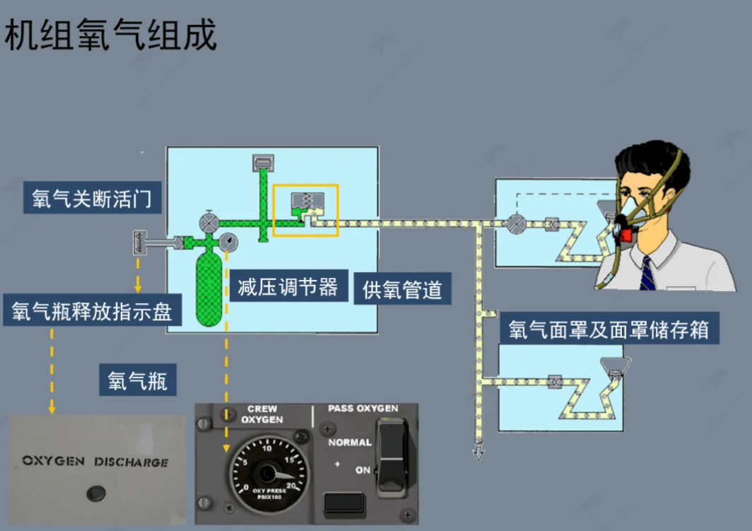 最新氧气供应系统详解与论述