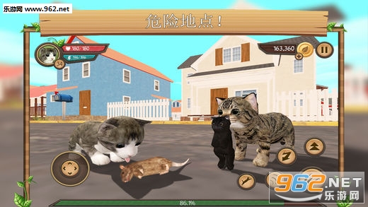 猫咪战车下载，小巷深处的隐藏宝藏，独特探索之旅开启
