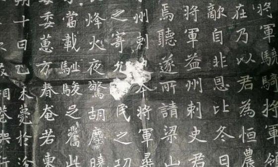 山西木材市场最新资讯概览