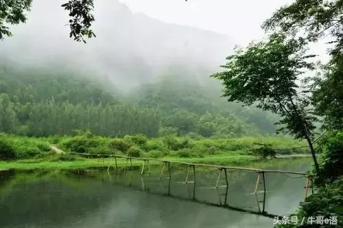 花生投，科技重塑生活，引领未来最新动态