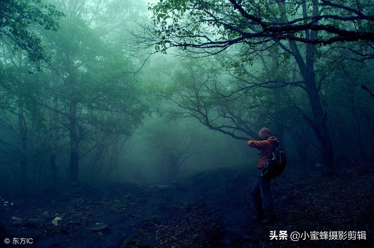养鬼为祸最新章节观点论述