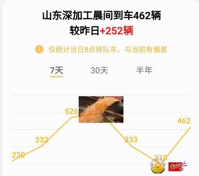 商河玉米最新行情与变化学习，自信成就未来之路