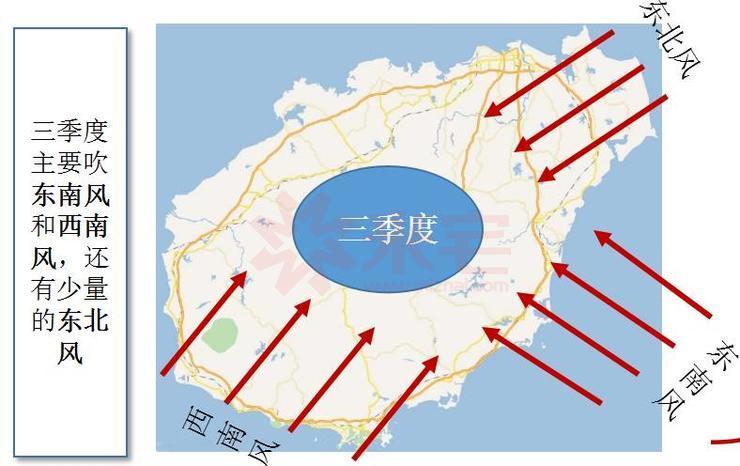 最新台风动态及其影响分析，一种观点的视角