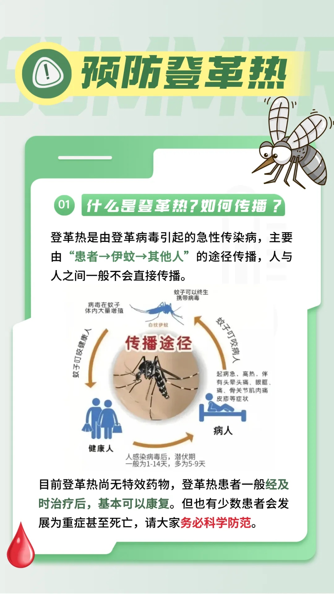 广东一周新增登革热病例达1770例，科普知识及应对要点