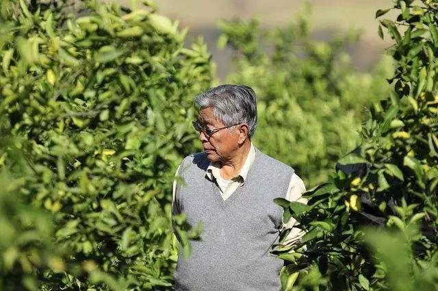 男子遭裁员后哀牢山求生，科技引领逆境新生活
